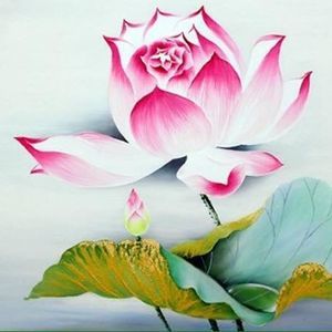 Meet your Posher, Vo